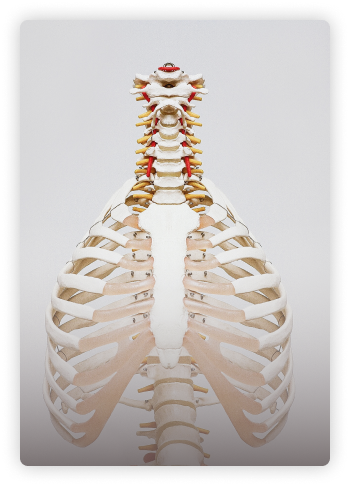Osteopatia